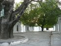 P1040008